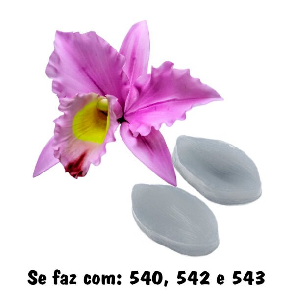 543 Marcador de Orquídea Superior